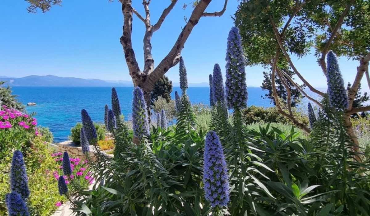 Ionian coastline
